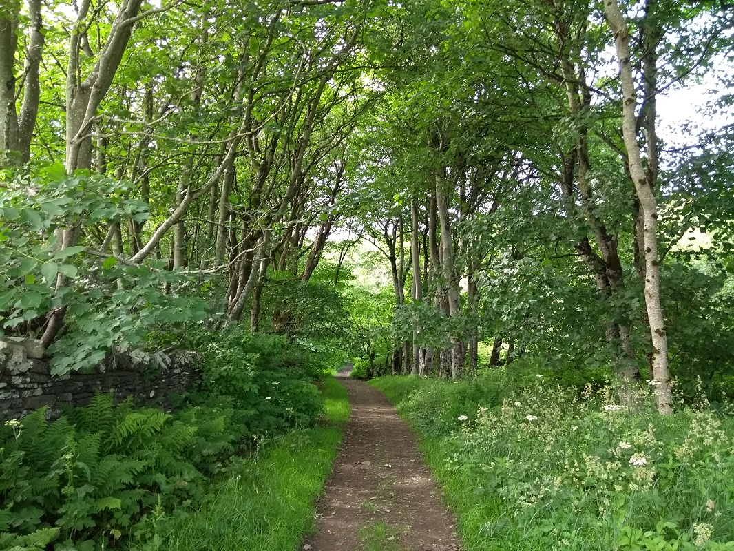 Scotland’s Finest Woods Awards 2026