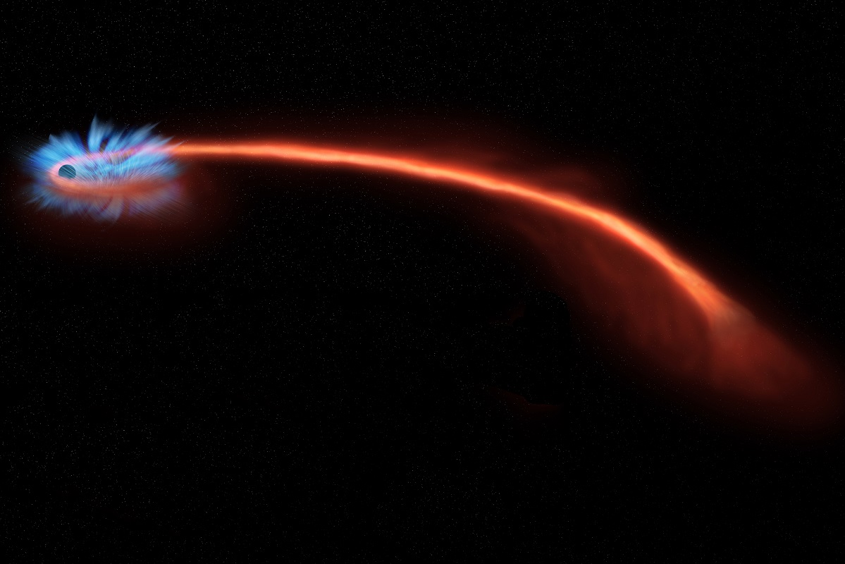When a star is shredded