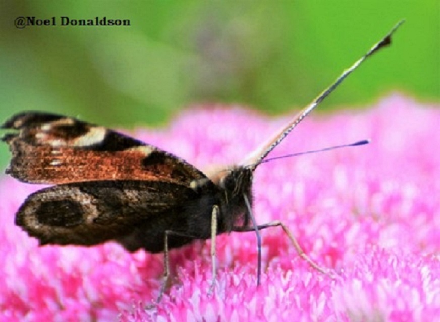 Weather Forecast: Mainly dry today and tonight.