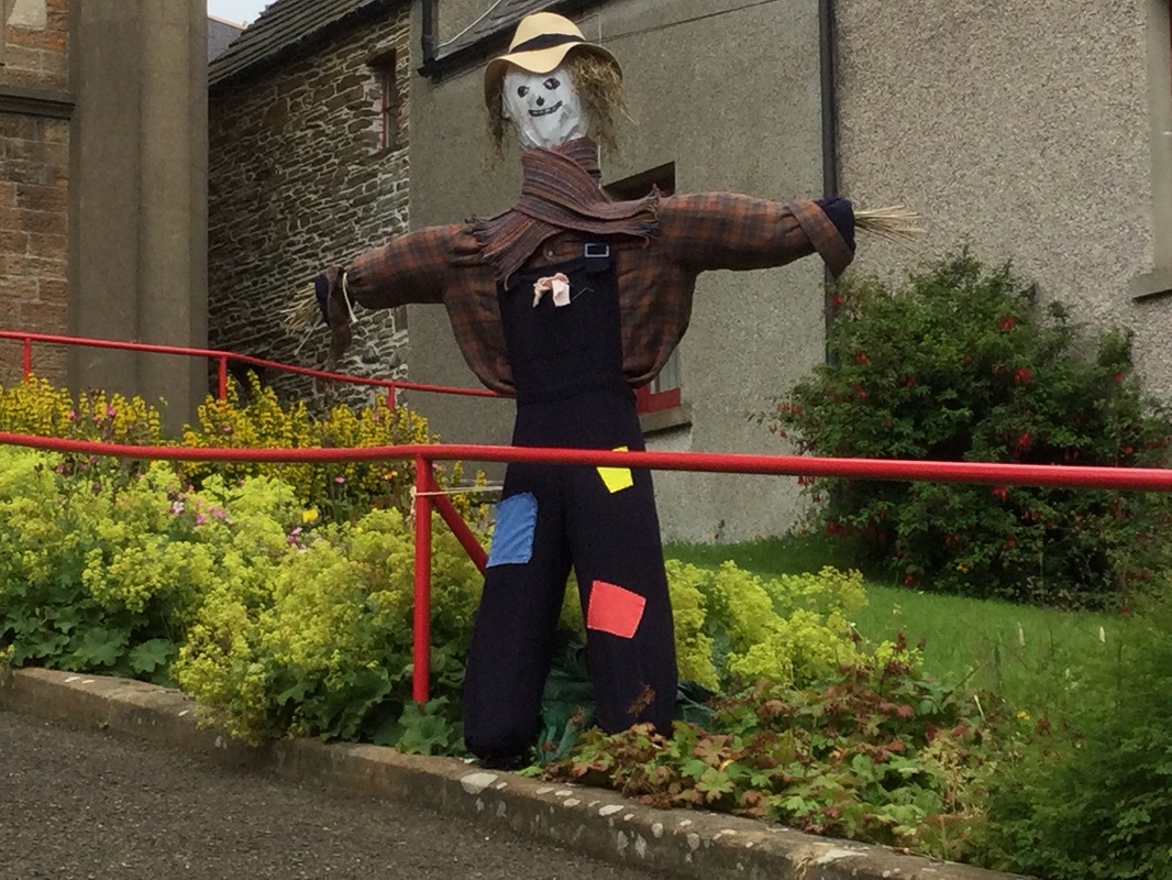 What’s in your garden? Scarecrows & wildflowers