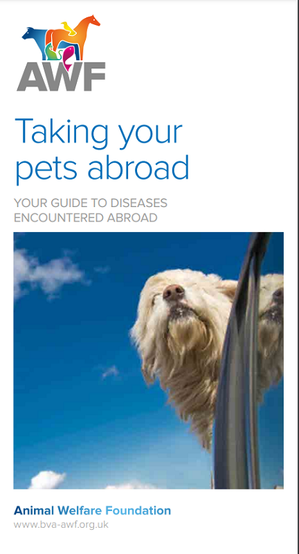 Importing Dogs From Abroad A Serious Disease Risk