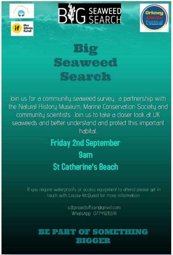 Big Seaweed Search : Stronsay