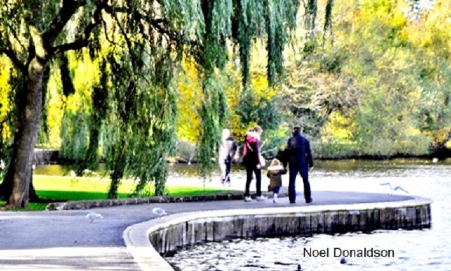 Large Increase in People Reporting a Mental Health Condition