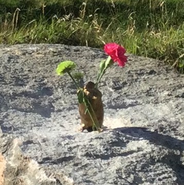 Arcadia Park: It’s Blooming Lovely