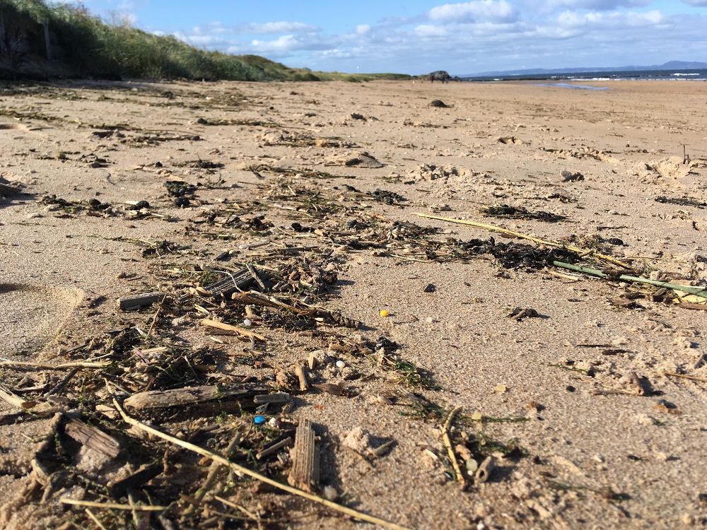 a beach with nurdles visible on it