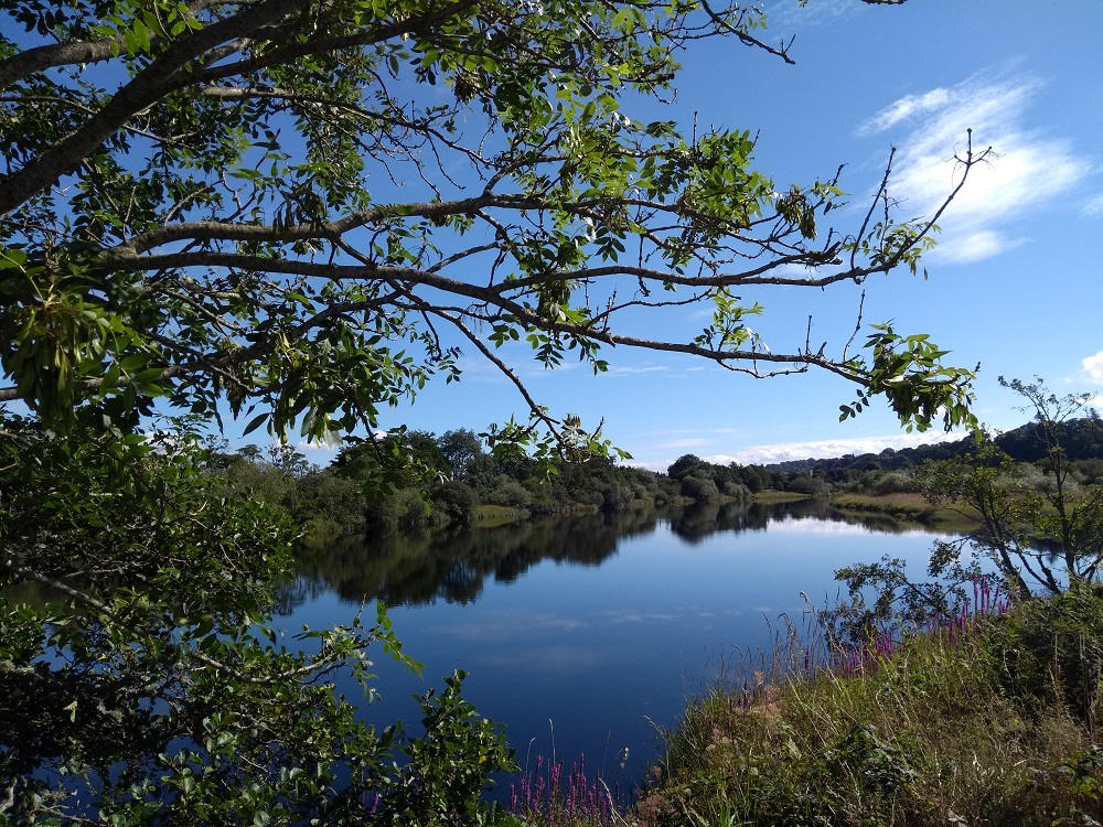 #GiesAScotsPoemDay: The Bonnie Broukit Bairn