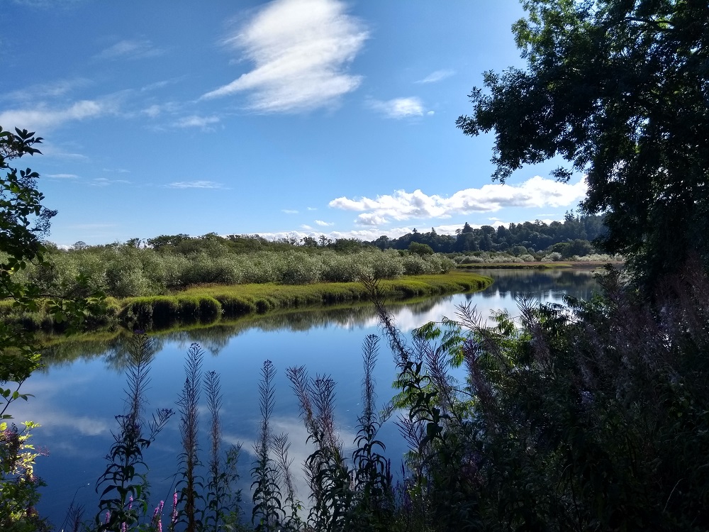 ‘If I Should Go’