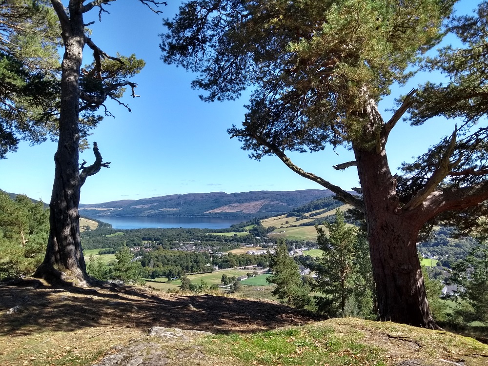 ‘Let’s Neither Faint Nor Fear’