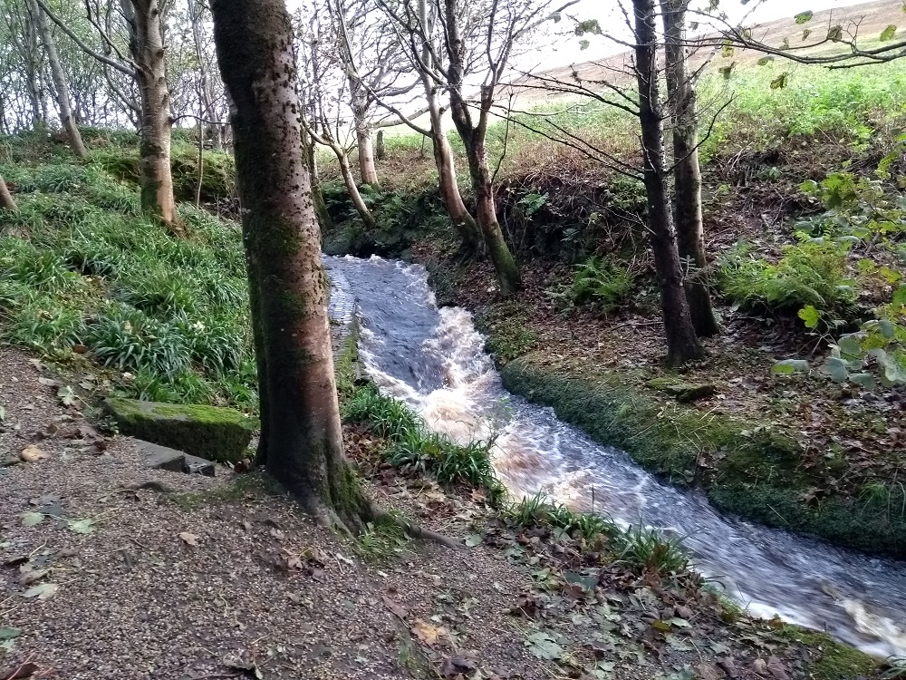 Weather Forecast 5 October : Bright spells and a few showers. Northwesterly gales easing.