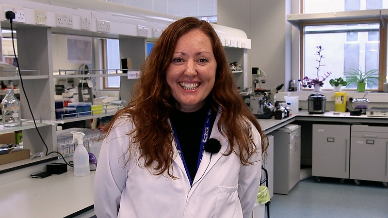 Advances in Understanding Motor Neurone Disease