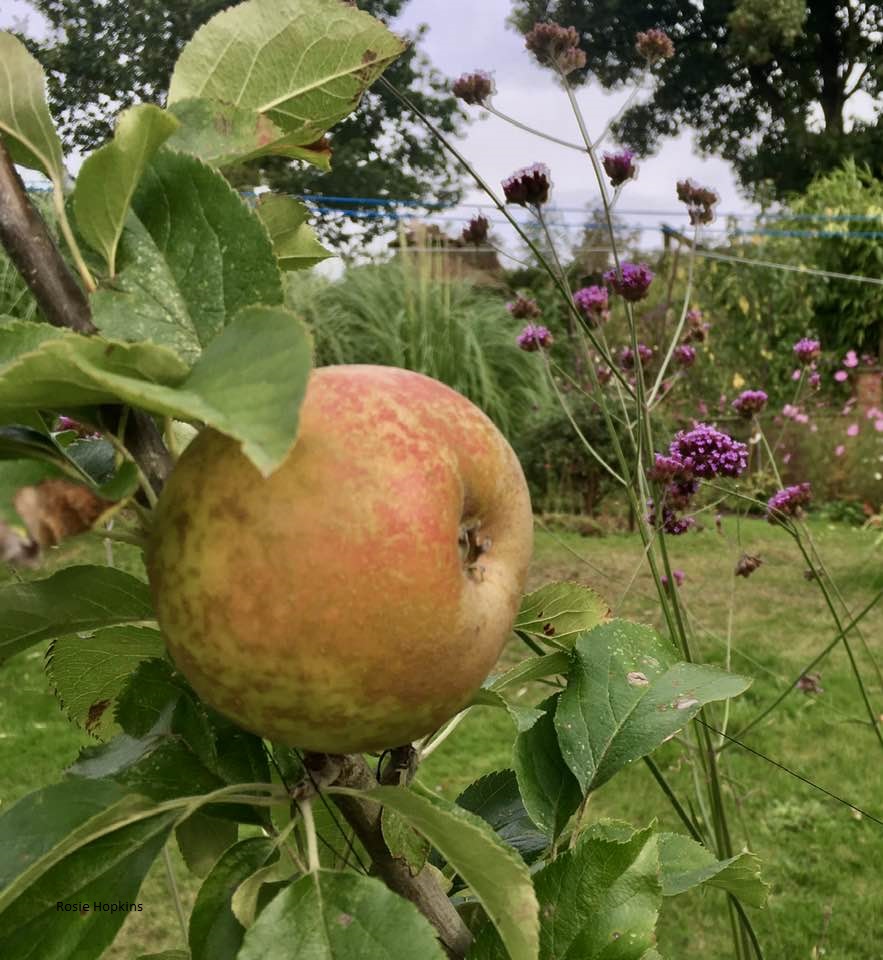 ‘Cradle Song’:  International Day of Non-Violence