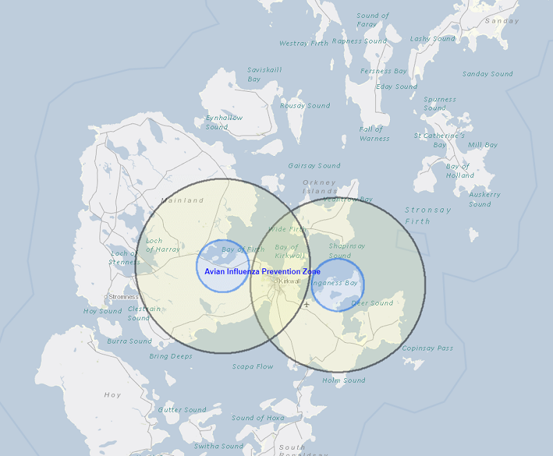 Avian Flu Confirmed Near Kirkwall