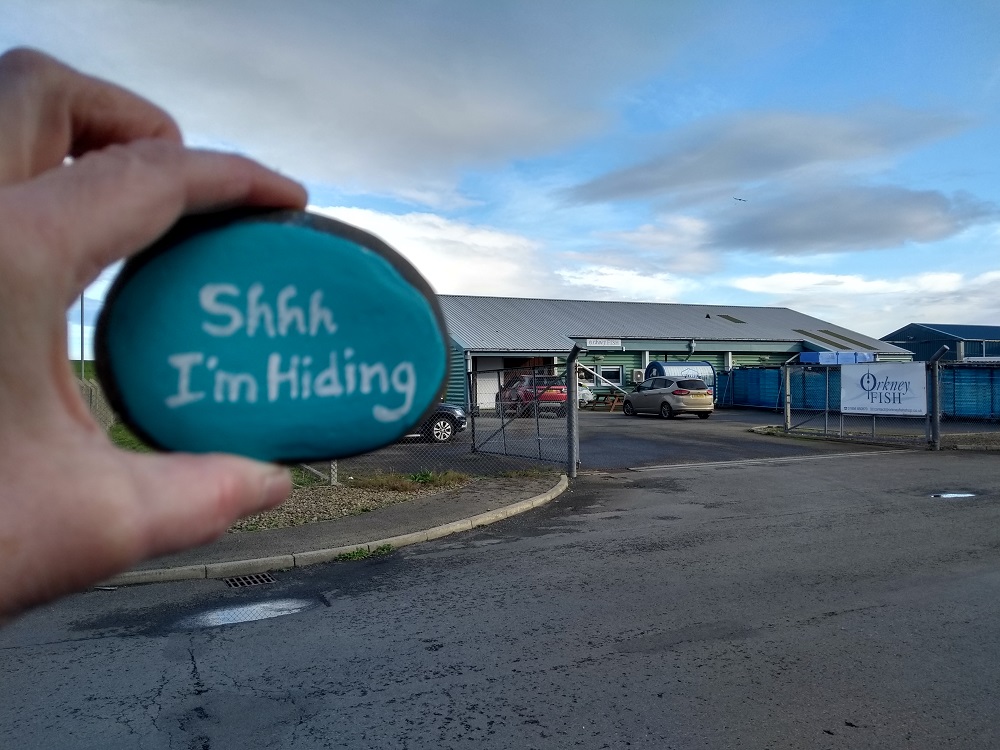 The Adventures of a Stromness Rock