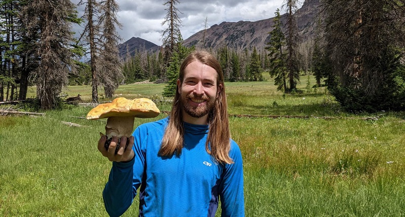 Porcini Mushrooms: More than meets the eye