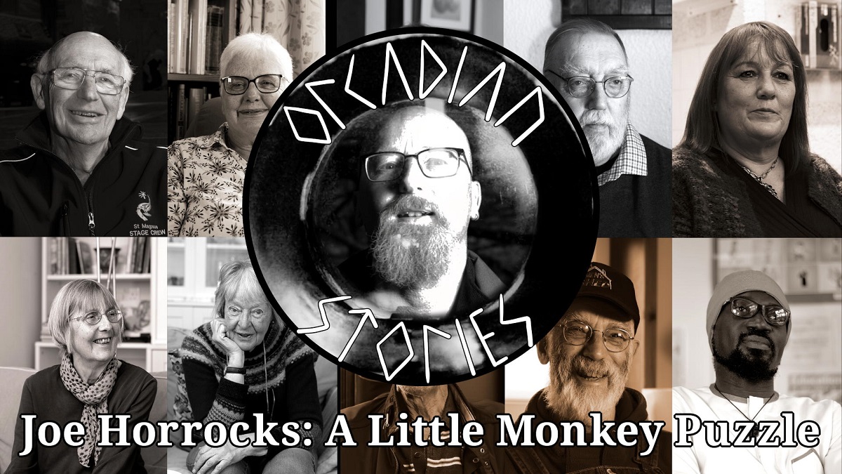 Joe Horrocks: A Little Monkey Puzzle