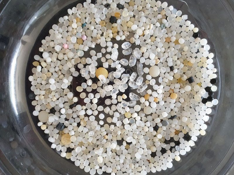 Rise in Plastic Nurdle Pollution Recorded in 2022