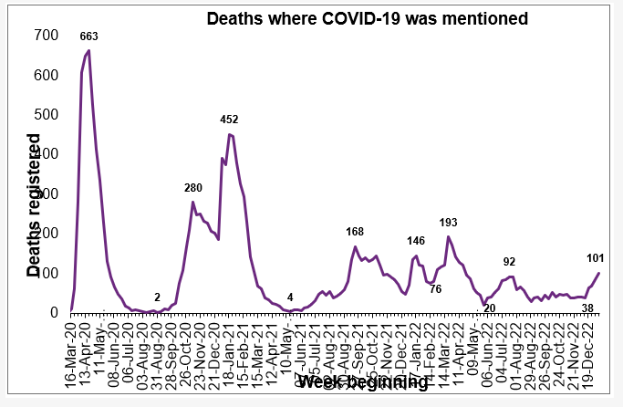 Deaths Involving #Covid 19.01.2023