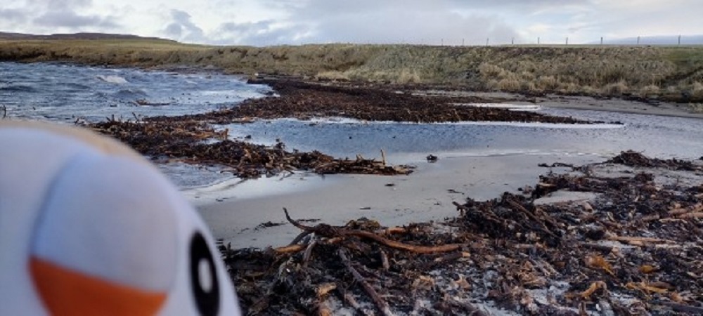 Weather Forecast 16 January : Mostly dry with some bright spells.