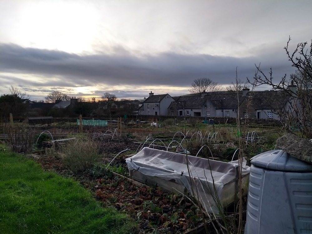 The Lost Gardens of Orkney, 3: Allotments