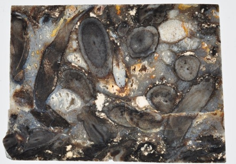 Revealing Earth’s Oldest Ecosystem On Land, Rhynie, Aberdeenshire.