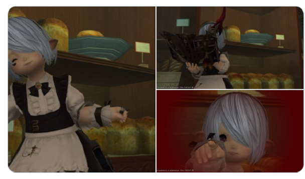 Sgathaich: FF14: Adventures in House Hunting.