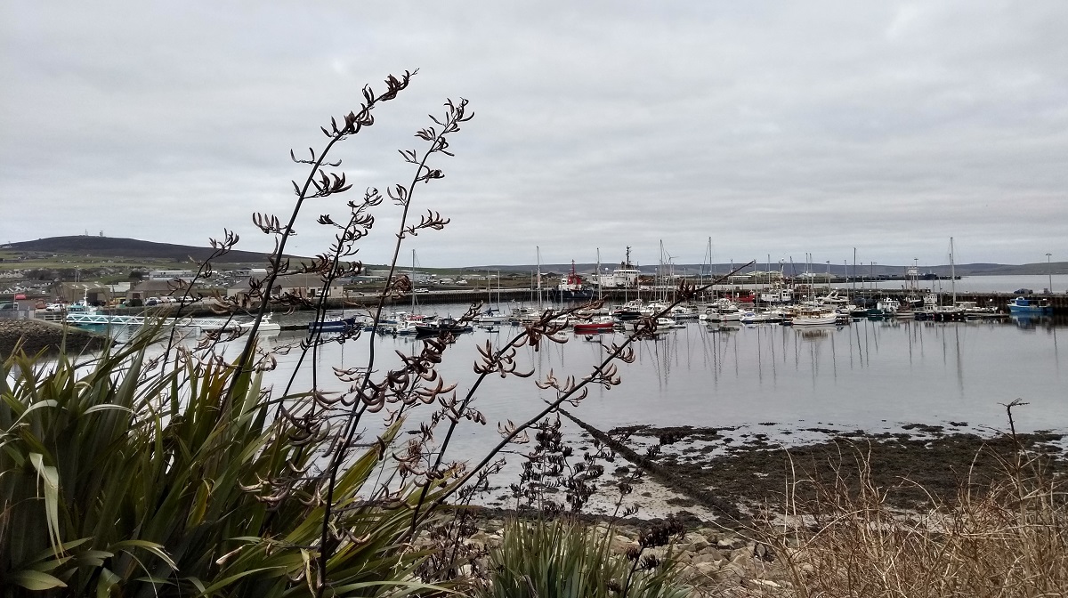 Weather Forecast 6 February : Cloudy with rain Friday. 