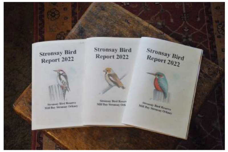 Stronsay Recent Bird Sightings: January 2023
