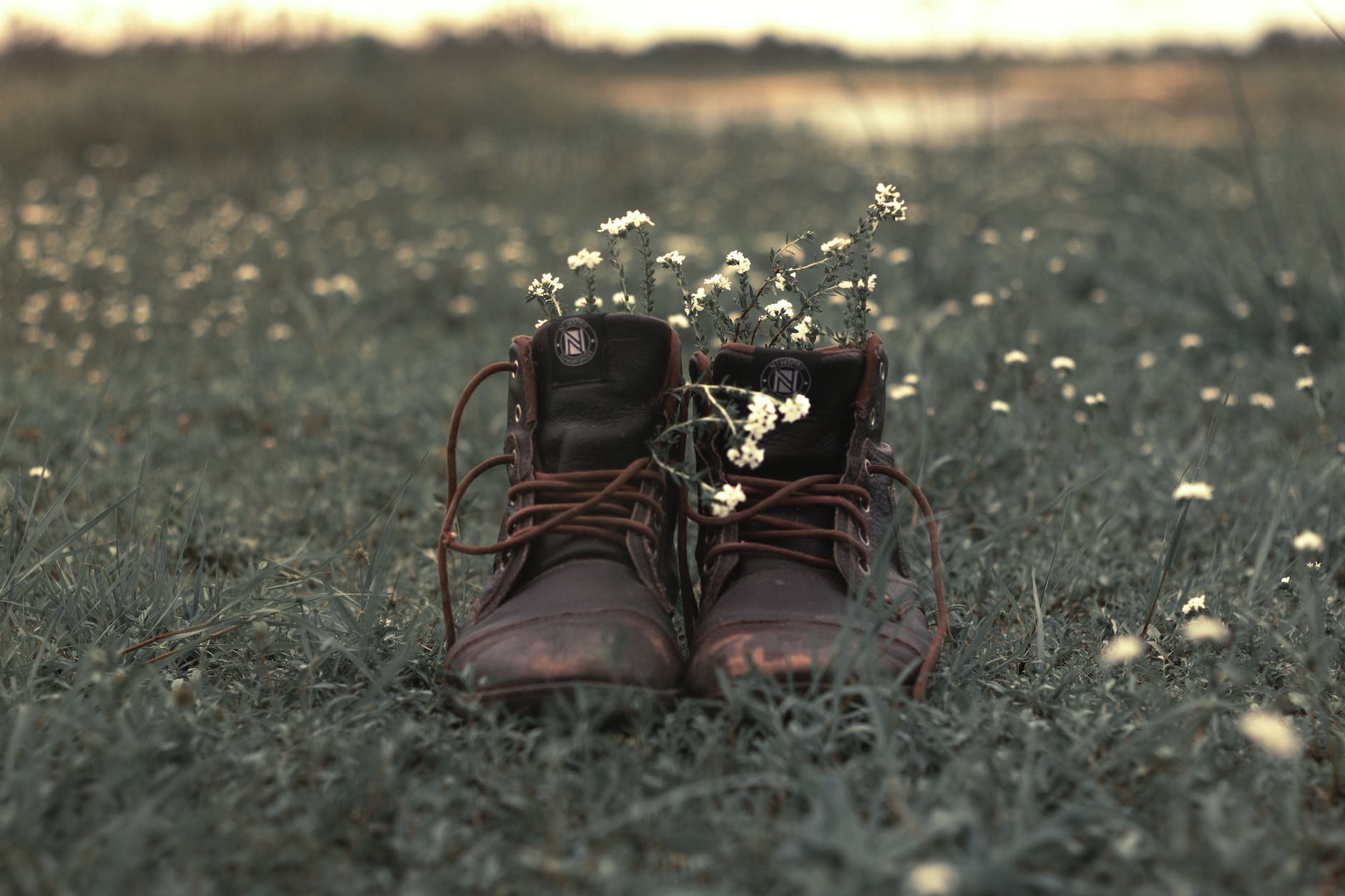 Valentine’s Day:  Pigs Tails & Old Boots