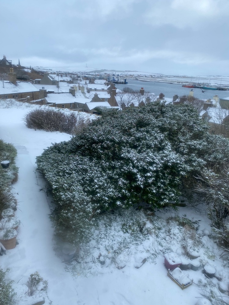 A Snowy Sunday in Stromness