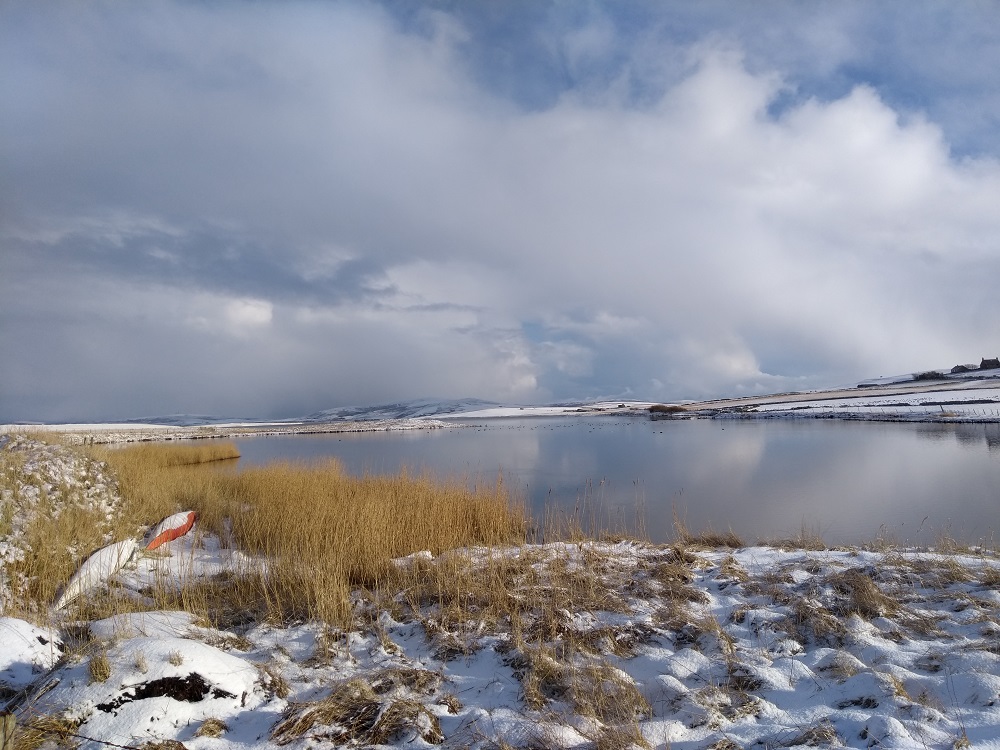Weather Forecast: Very cold Thursday, with snow showers and strong winds
