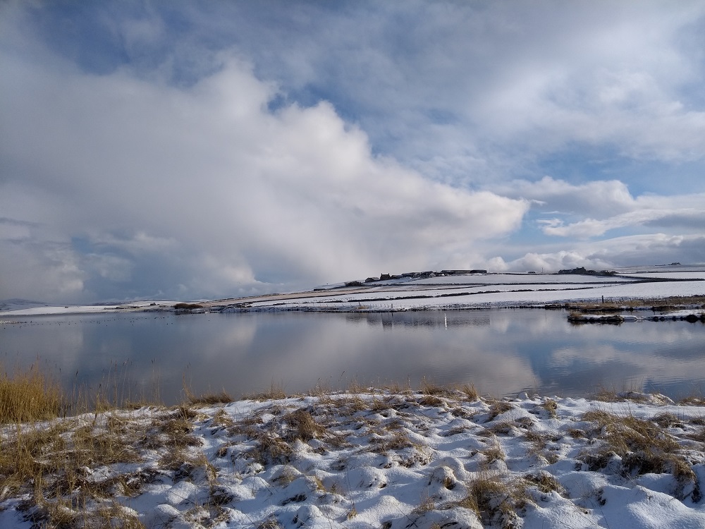 Weather Forecast: Yellow Warning Snow & Ice