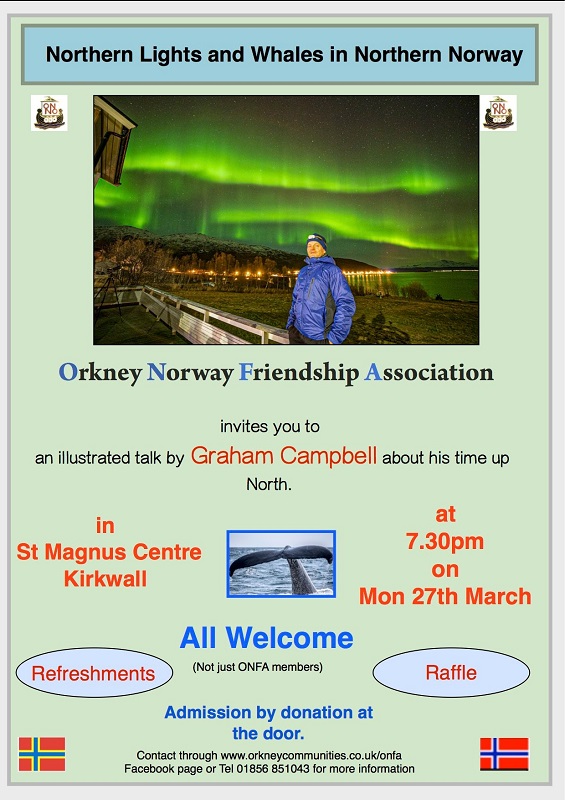 Northern Lights and Whales in Northern Norway