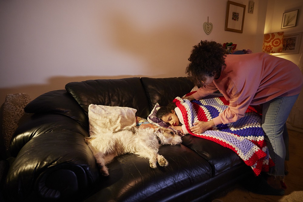 Rising Cost of Pet Food Sees Nearly A Third Of Scots Making Financial Sacrifices