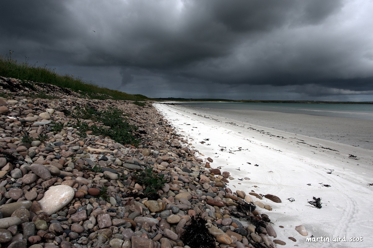 Weather Forecast: Windy with rain
