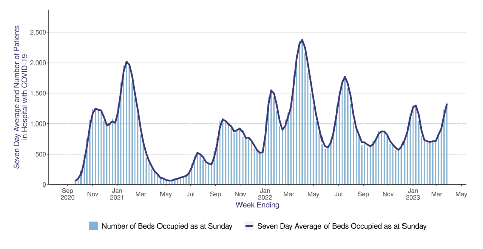 graphs shows bed occupation in hospital of patients with Covid
