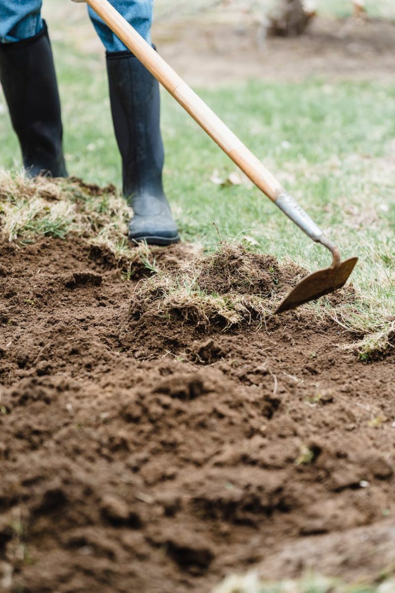 farmer standing and loosening soil in countryside