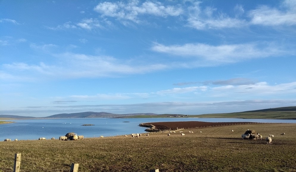 Weather Forecast 30 March : Windy with blustery showers.