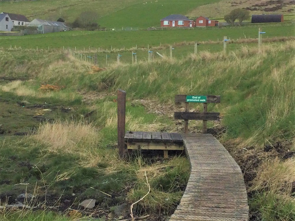 Weather Forecast: Cold and very windy with frequent showers today