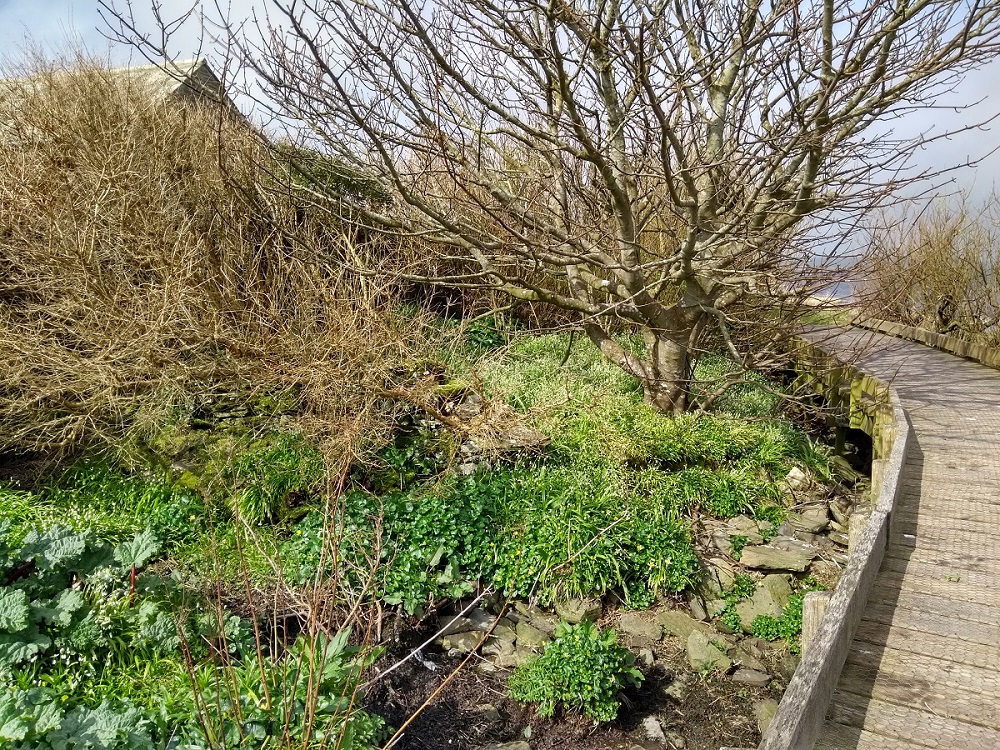 Weather Forecast: Fine and Dry with Mainly Light Winds
