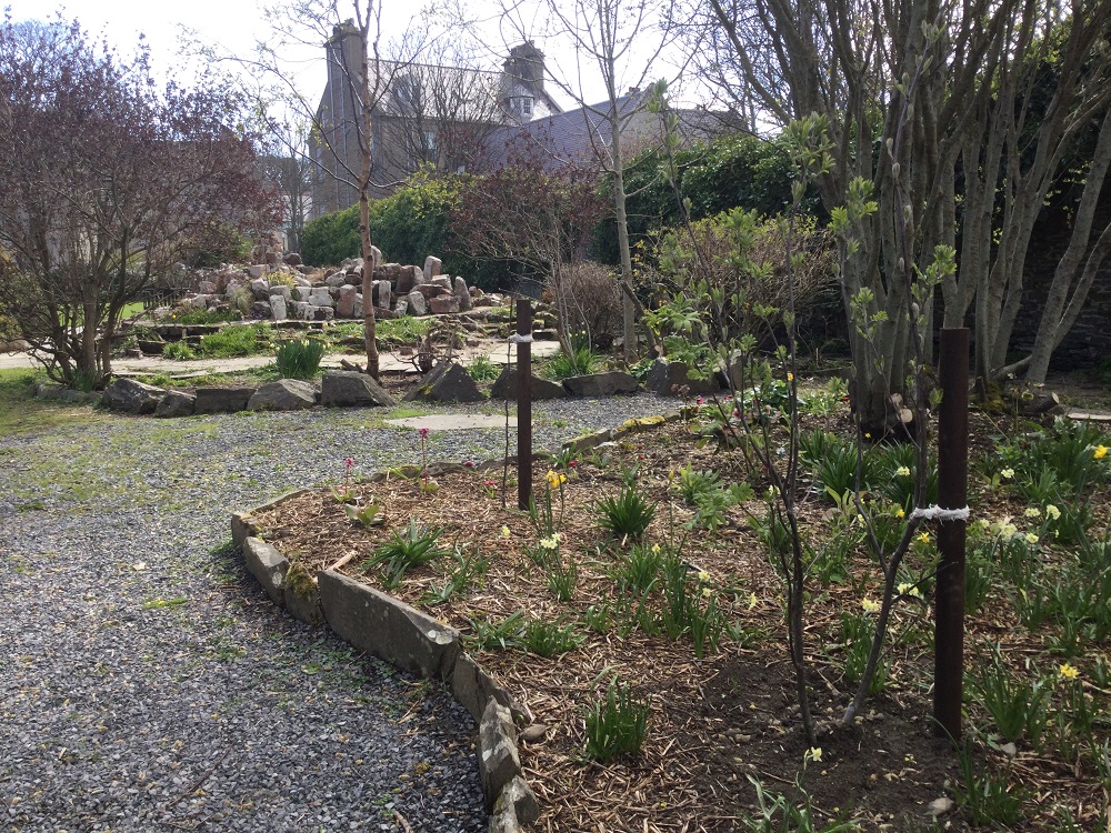 April in Tankerness House Gardens