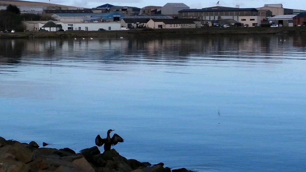 Why did Orkney Jump Ship After Signing The Verity House Agreement?