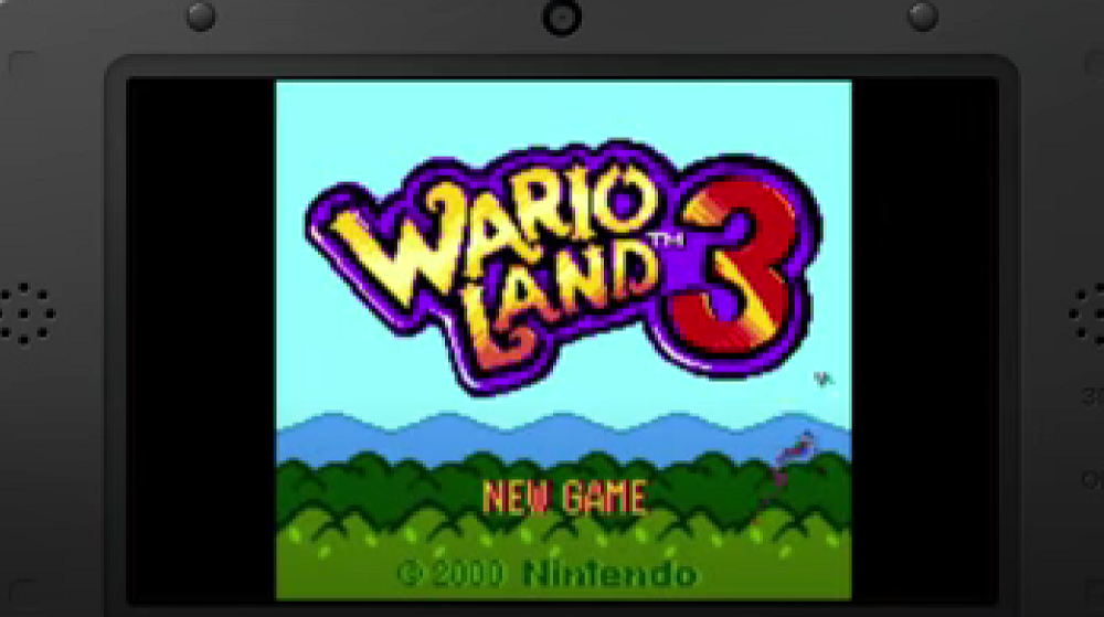 title cover of Wario Land 3