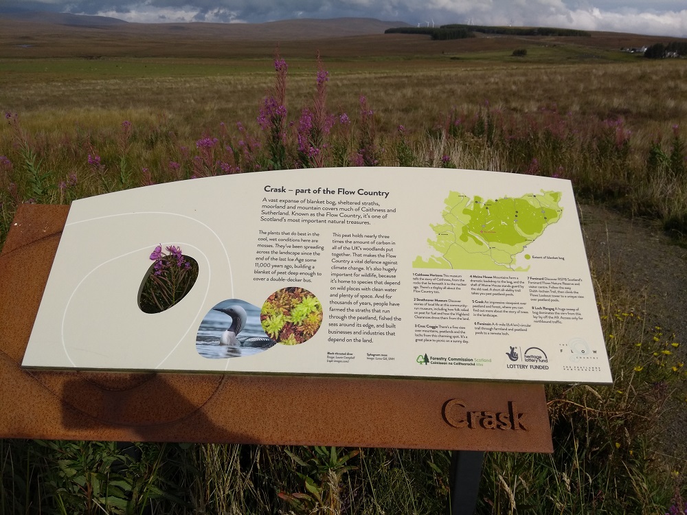 Decline of Scotland’s Ancient Arable Wildflowers