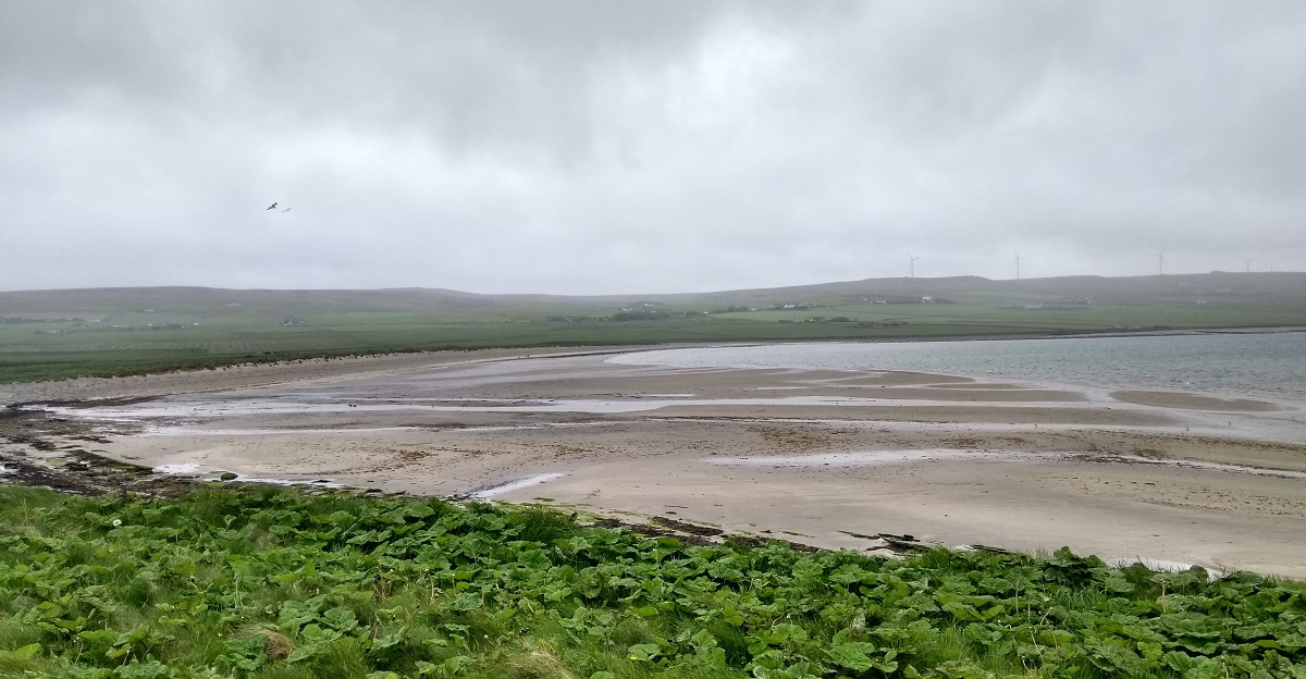the tide is out and stretched before us is the wide sandy bay of Aikerness Evie, in the distance on the hill are the wind turbines of Burgar Hill
