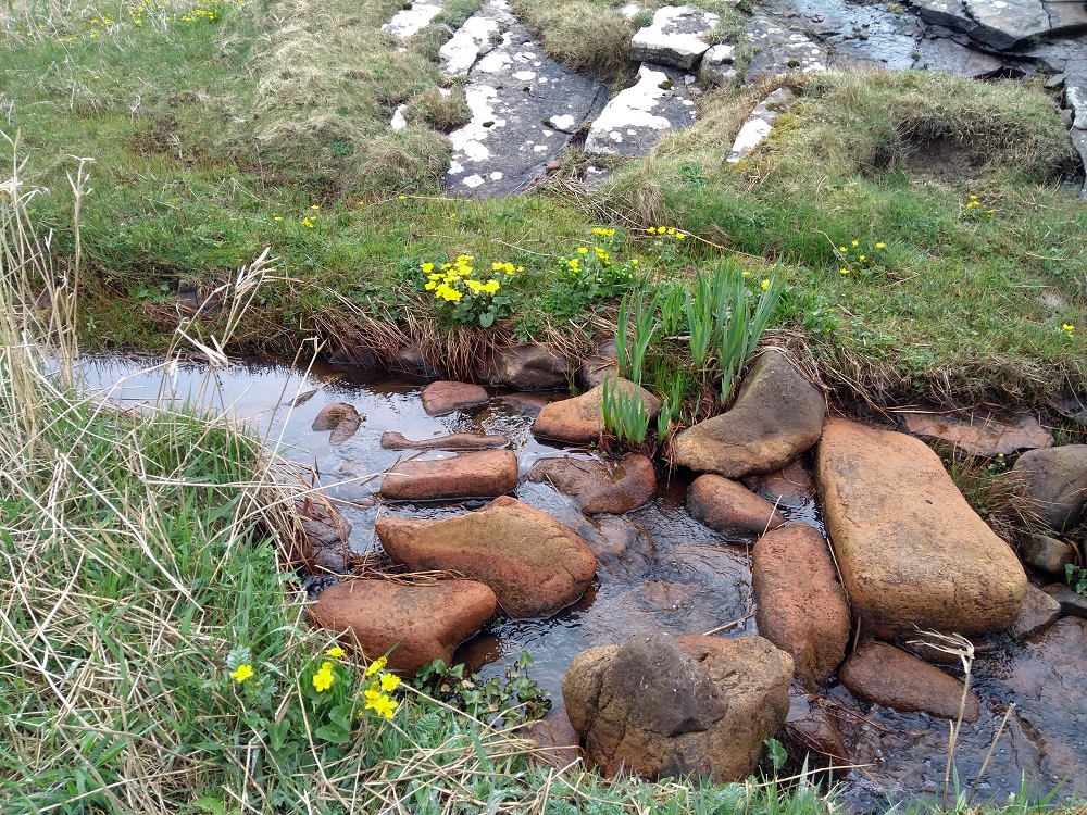 Weather Forecast 9 April: Dry and mostly cloudy. Orkney brightening up later.