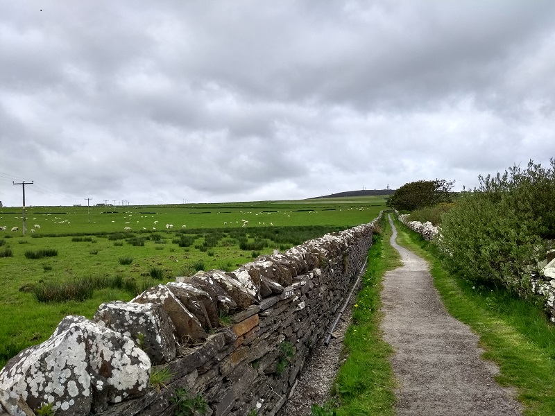 Weather Forecast 13 May: Haar initially, clearing  Orkney during afternoon.