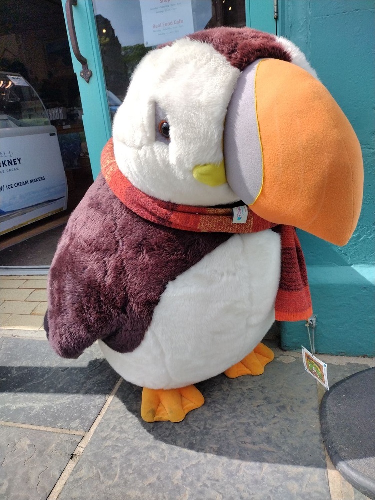 A Not-So Peedie Puffin Makes Appearance