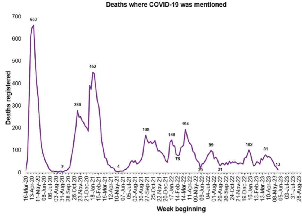 graph shows the deaths involving Covid in Scotland since the start of the pandemic with the highest point being in 663 in April 2020 then peaks and troughs and now a continued downward trend