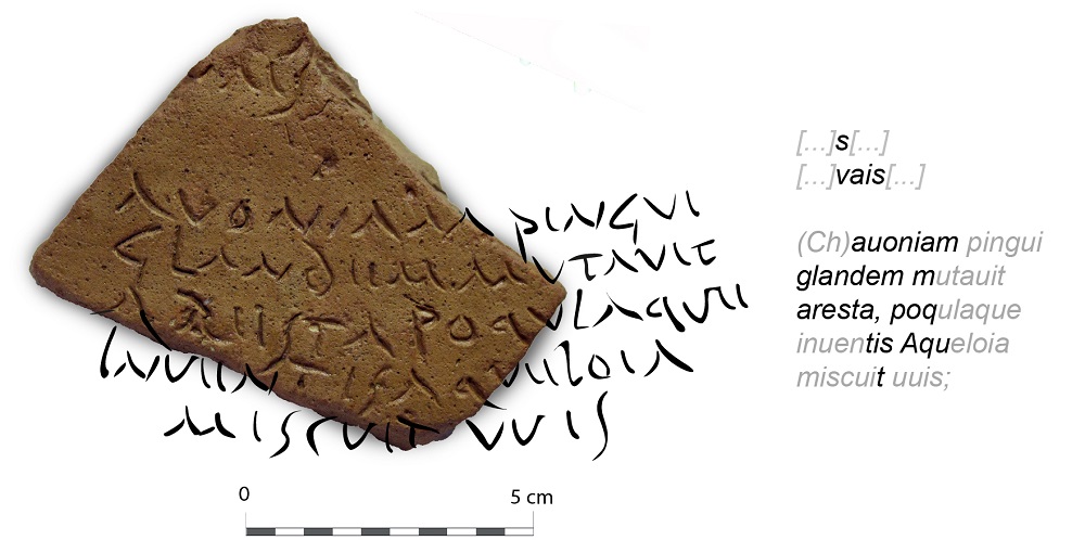 Stunning Archaeological Find on an Oil Amphora