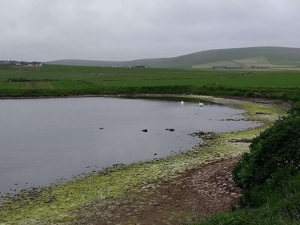 Economic & Environmental Costs of Rising Loch Temperatures